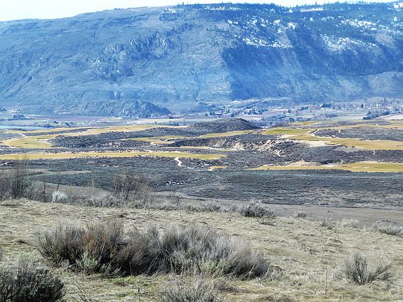 View of Gamble Sands