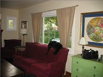 Sunny living room (cats not included)