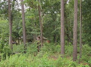 38 White Oak Dr, Plantersville, TX 77363