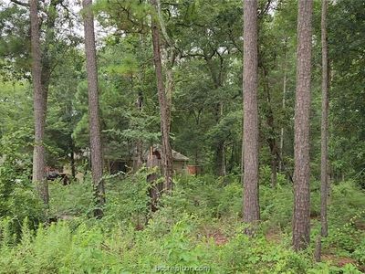 38 White Oak Dr, Plantersville, TX, 77363
