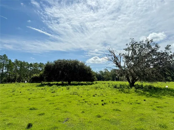 10460 Ehren Cutoff, Land O Lakes, FL 34637