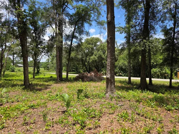 517 N Croft Ave, Inverness, FL 34453