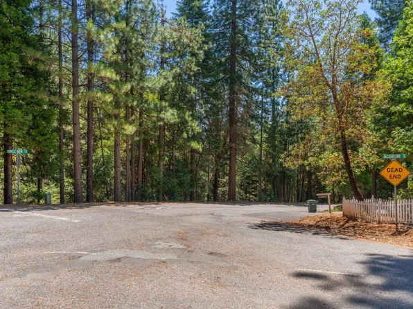 17770 Circle View Dr, Pioneer, CA 95666