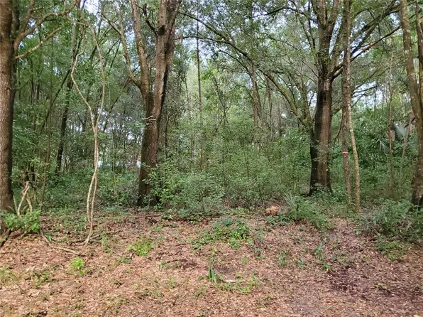 SE 135th Ct Lot 7, Weirsdale, FL 32195