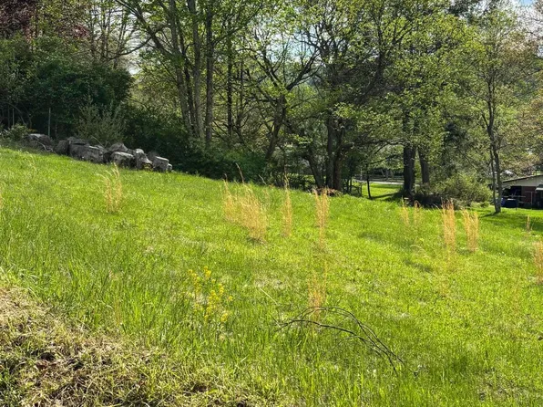 Orchard St, Summersville, WV 26651