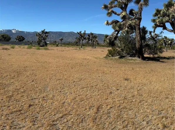 0 Tokay Rd, Pinon Hills, CA 92372