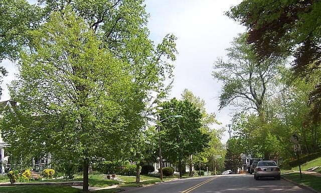 2nd image of 67 Midland Ave