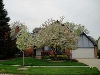 2nd image of 5073 Saffron Dr