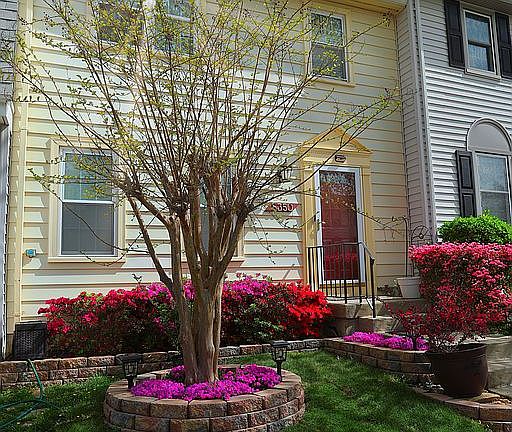 2nd image of 8350 Stationhouse Ct
