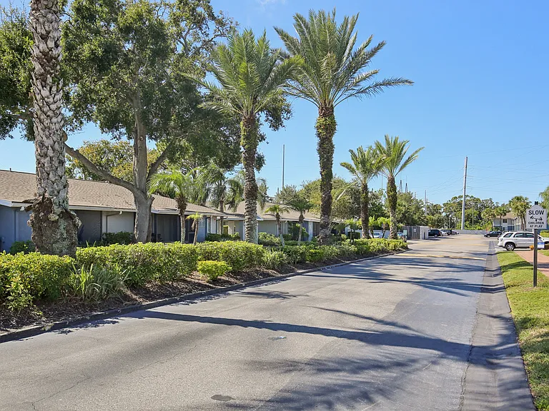 The Palms at Countryside Apartments — Photo 24