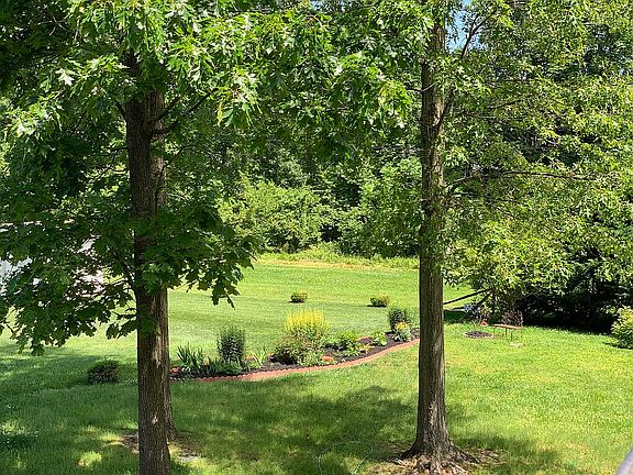 3rd image of 432 Larkspur Dr