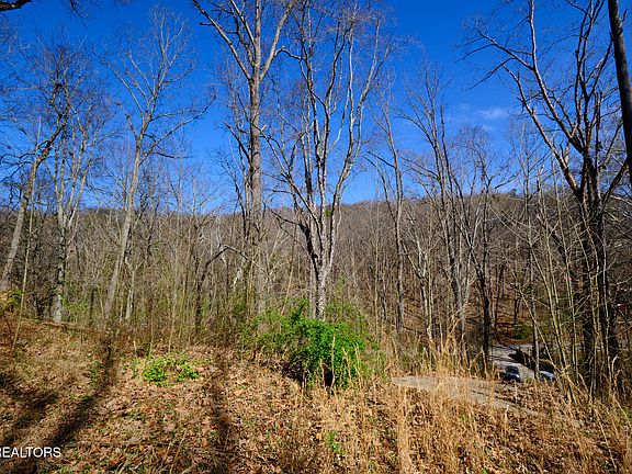 5th image of 3212 Long Hollow Rd