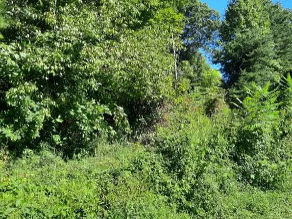 1740 Money Rd, East Bernstadt, KY 40729