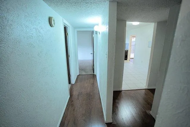 10906 Listi Dr #HOUSE — Photo 8