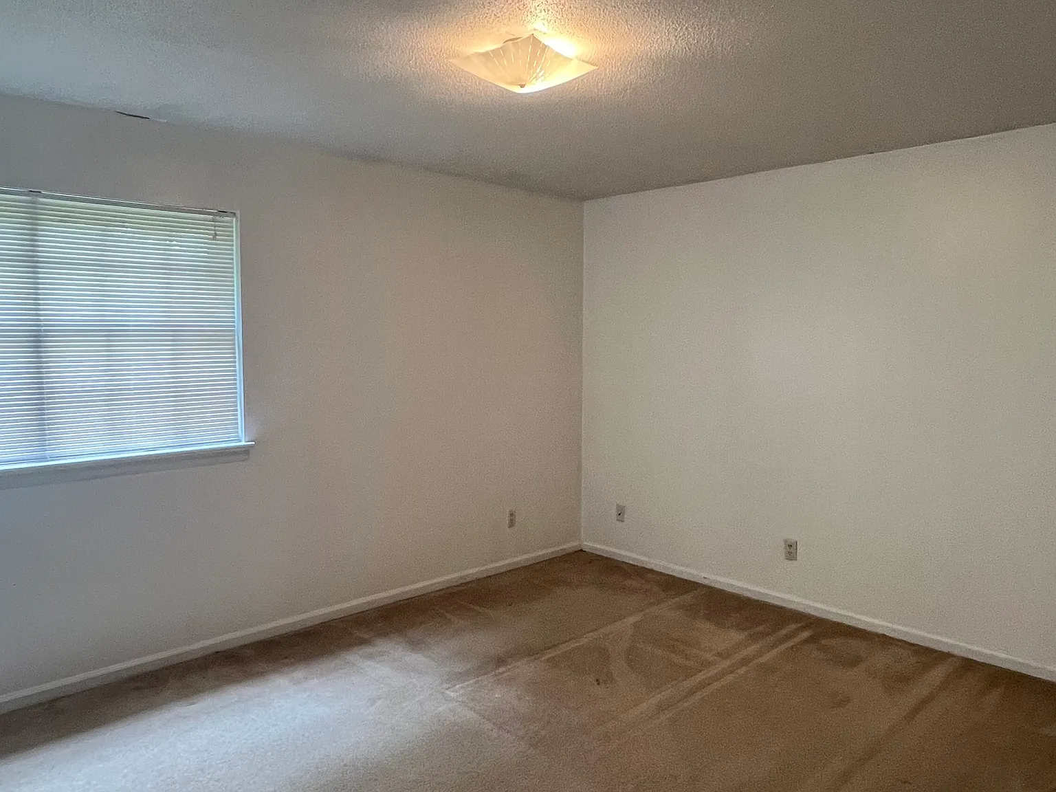 2 bed, 1.5 bath, 1000 sqft, $1,100 — Photo 4