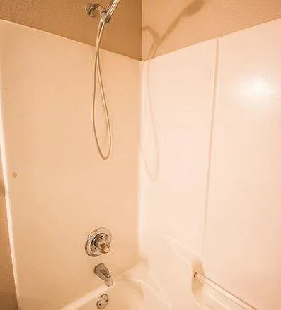 Guest Shower