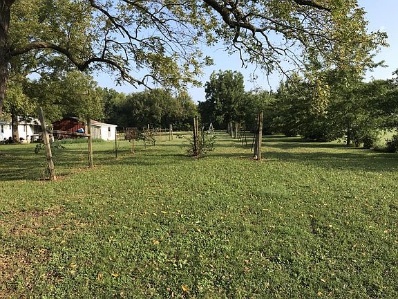 Image 3: formerly grape vines and blackberrys