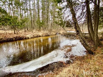 River Rd, Perronville, MI, 49873