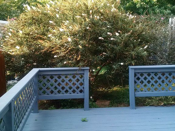 142 C Wright St deck