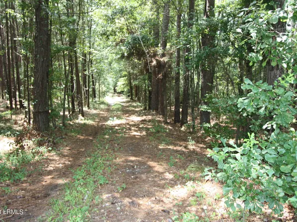 Cotton Hill Rd, Tillman, SC 29943