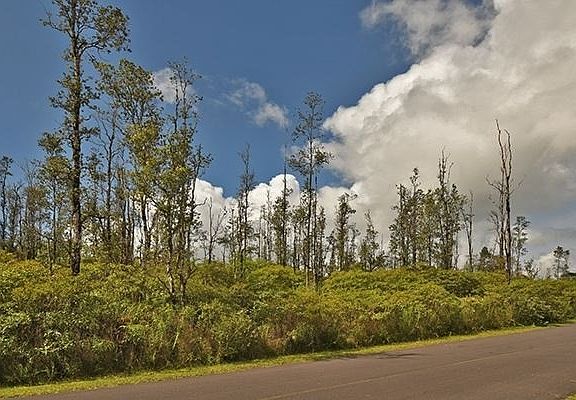 4th image of Hanale Dr Lot 34