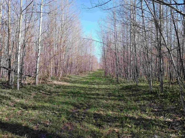 Schooner Rd, Rockland, MI 49960