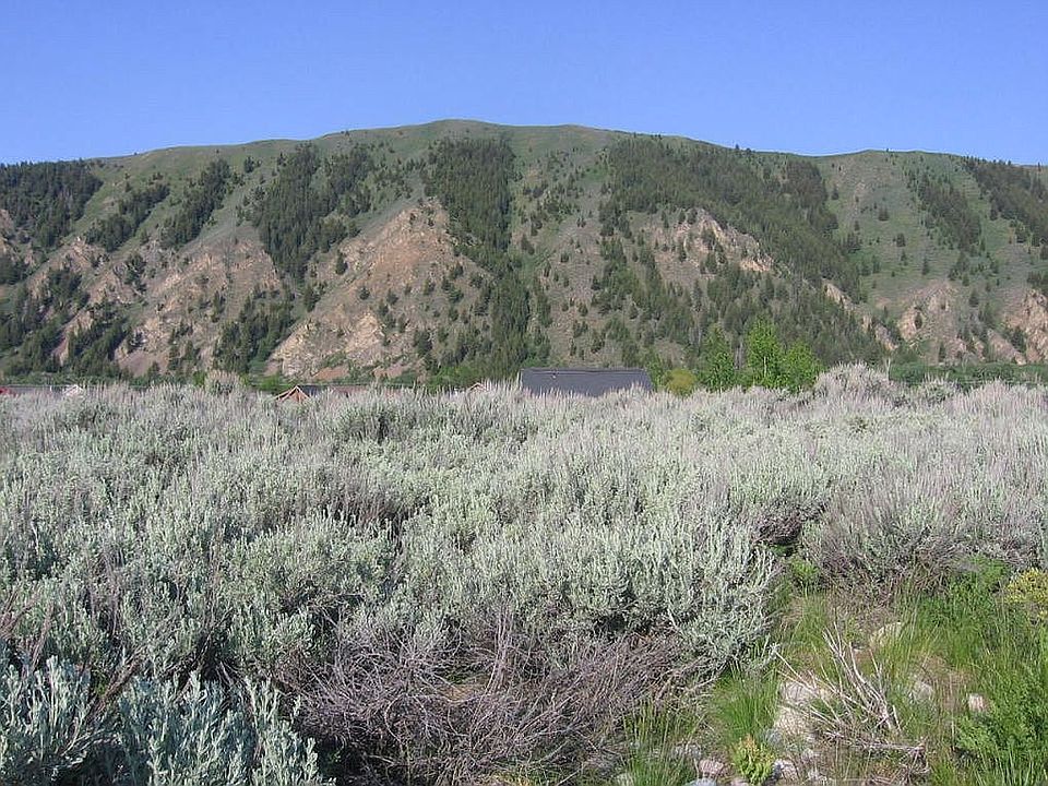 Unobstructed West Views 