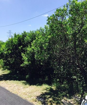 5th image of 3307 Dove Park Ln