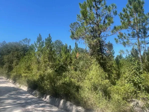 SE Croft St, Lulu, FL 32061