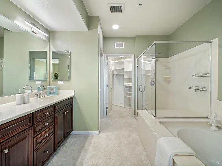 49002 Cinnamon Fern Cmn #402 — Photo 10