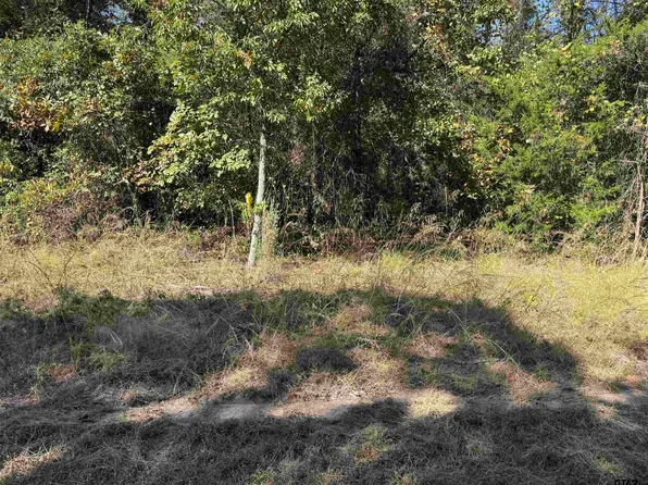 336 King Bernard Rd, Scroggins, TX 75480