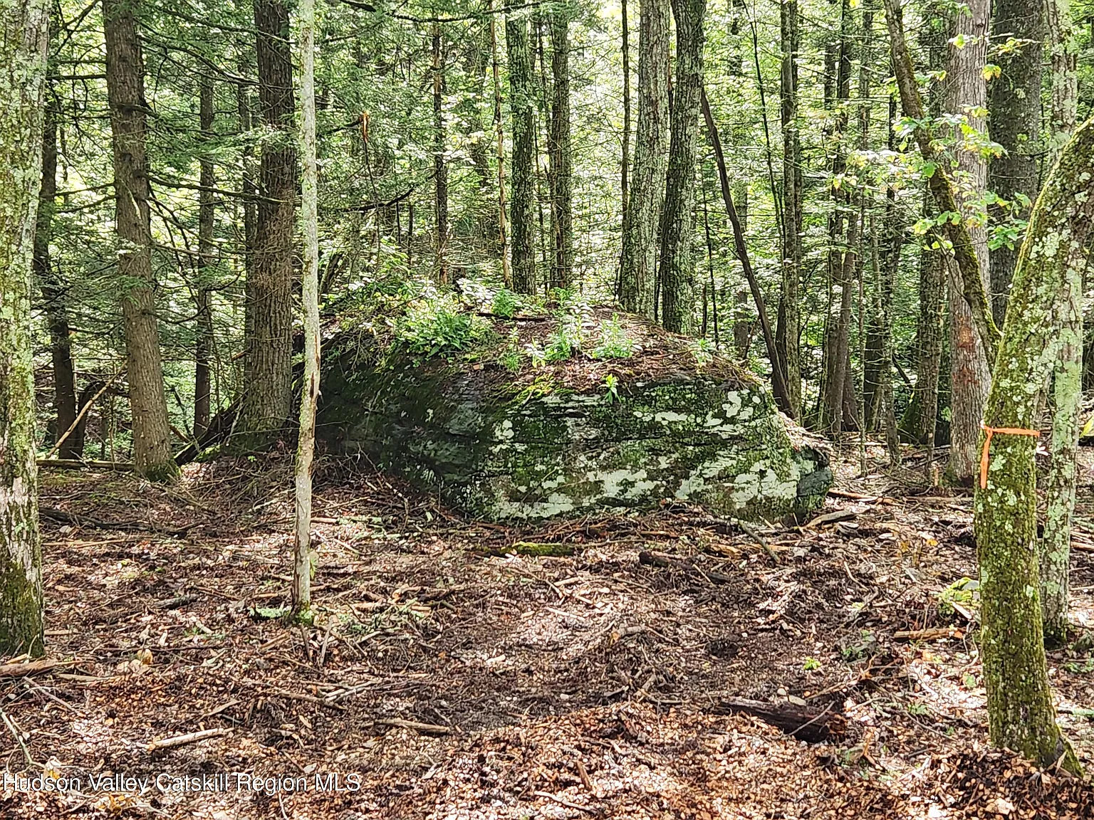 654 Samsonville Road photo 1