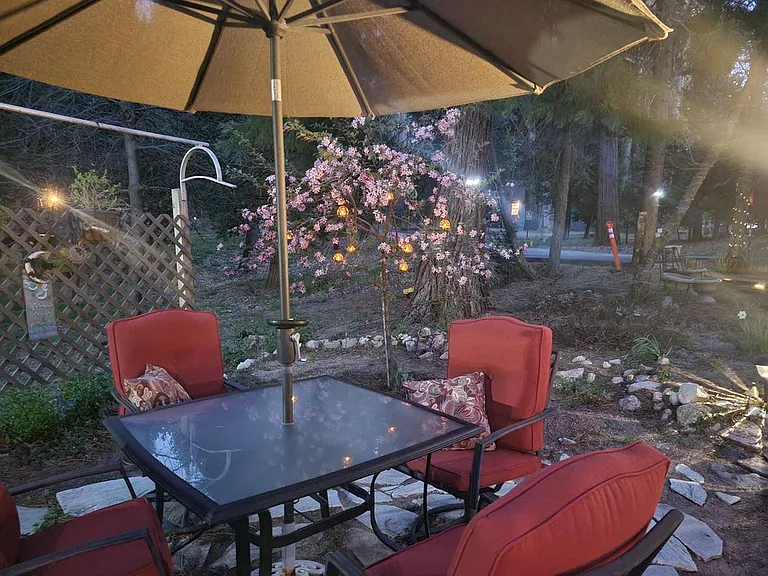 27868 Holly Ln — Photo 21