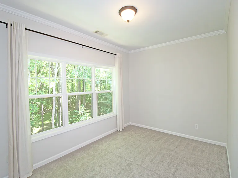335 Snowgoose Ct — Photo 14