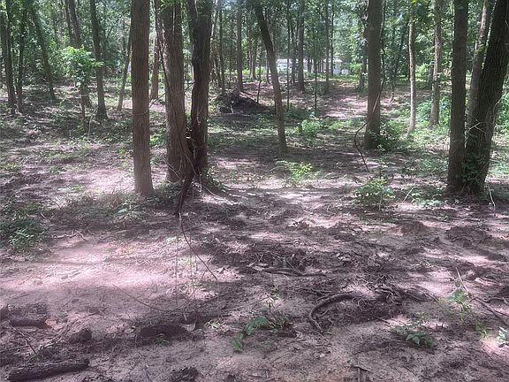 2nd image of Azalea Ln