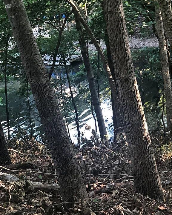 1st image of 2 Robin Ln
