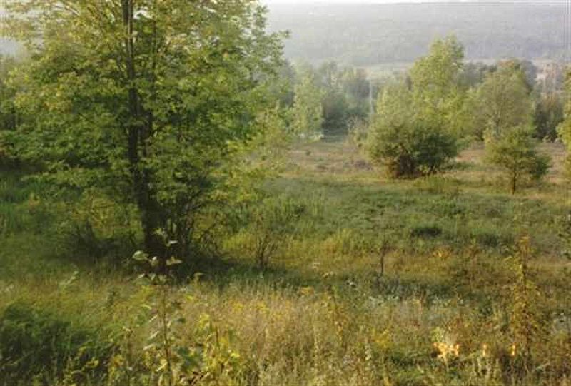 4th image of 00 HICKORY TREE Road