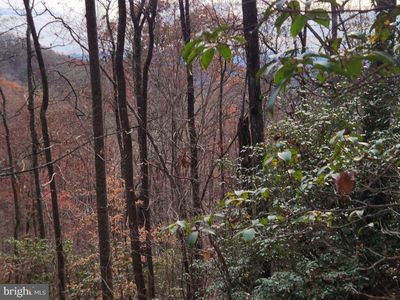 0 Bear Cove Cir, Bryson City, NC, 28713