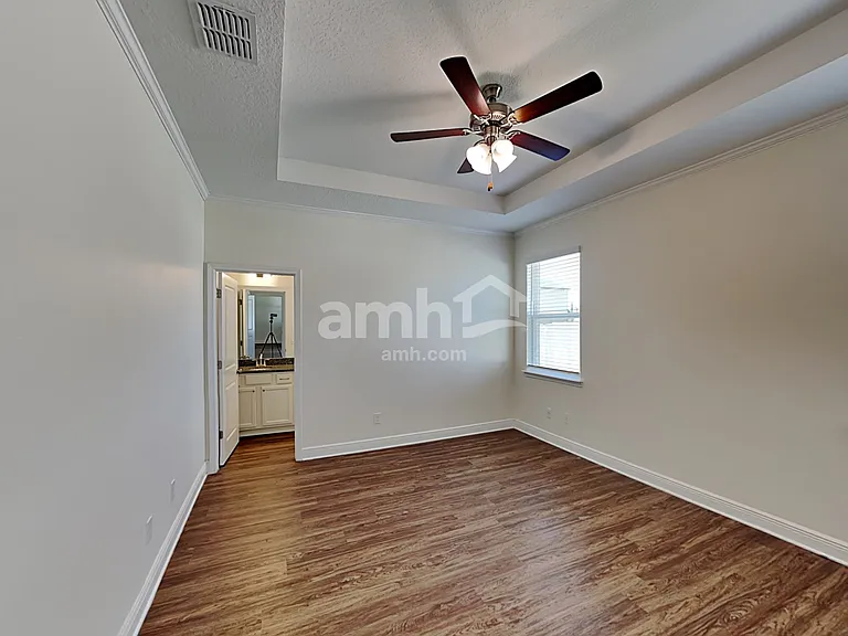 1306 Celery Palm Cv — Photo 10
