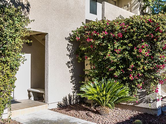 4th image of 222 N. Calle El Segundo #000