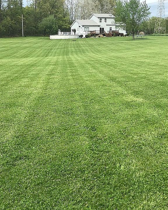 View from back corner of lot