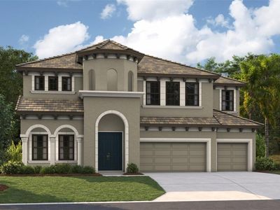 13493 BUFFALO MOUNTAIN AVENUE, Riverview, FL, 33579