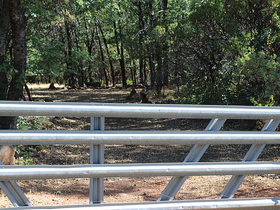 2nd image of 28824 Shingle Creek Ln