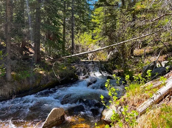 1160 Upper Clear Creek Trl, Anaconda, MT 59711