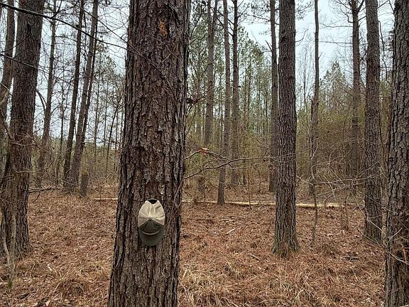 2nd image of Bodka Valley Rd