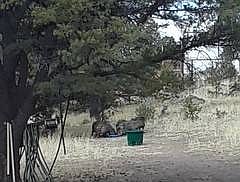 4th image of 67 Lookout Cir #57