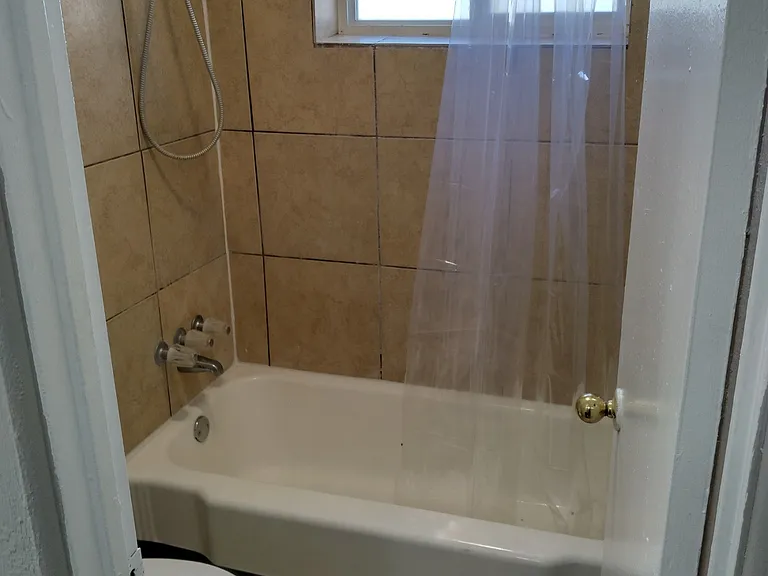 1994 Elmira St #8 — Photo 7