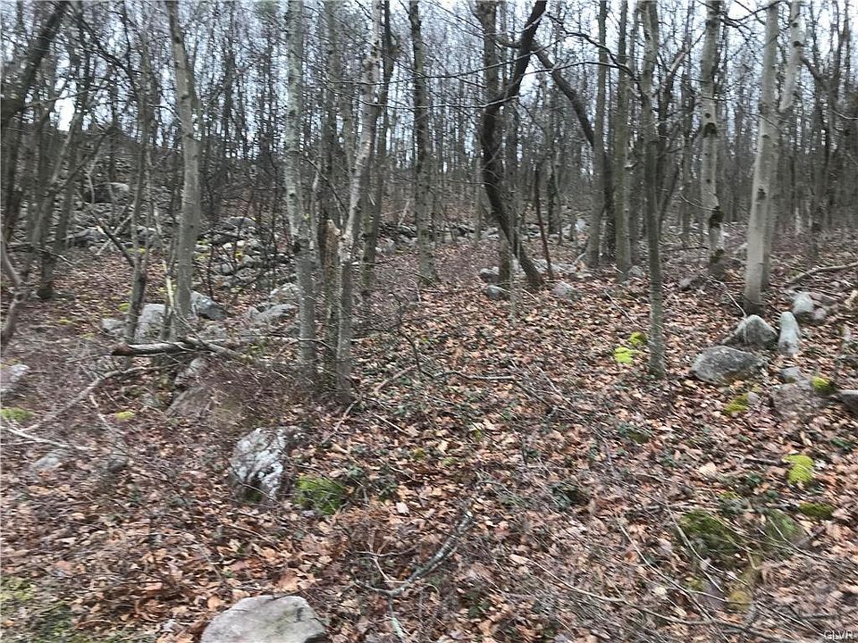 2nd image of Black Walnut Ln