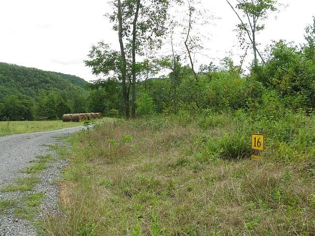 1st image of 16 Spice Run Rd