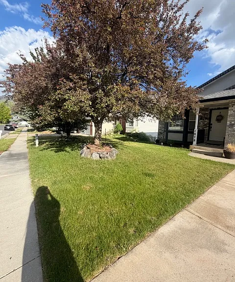 1078 E 3325 N — Photo 29